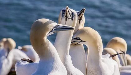 pp电子官网-Kaiyun开云官方网站中国登录：开启云端智慧之门